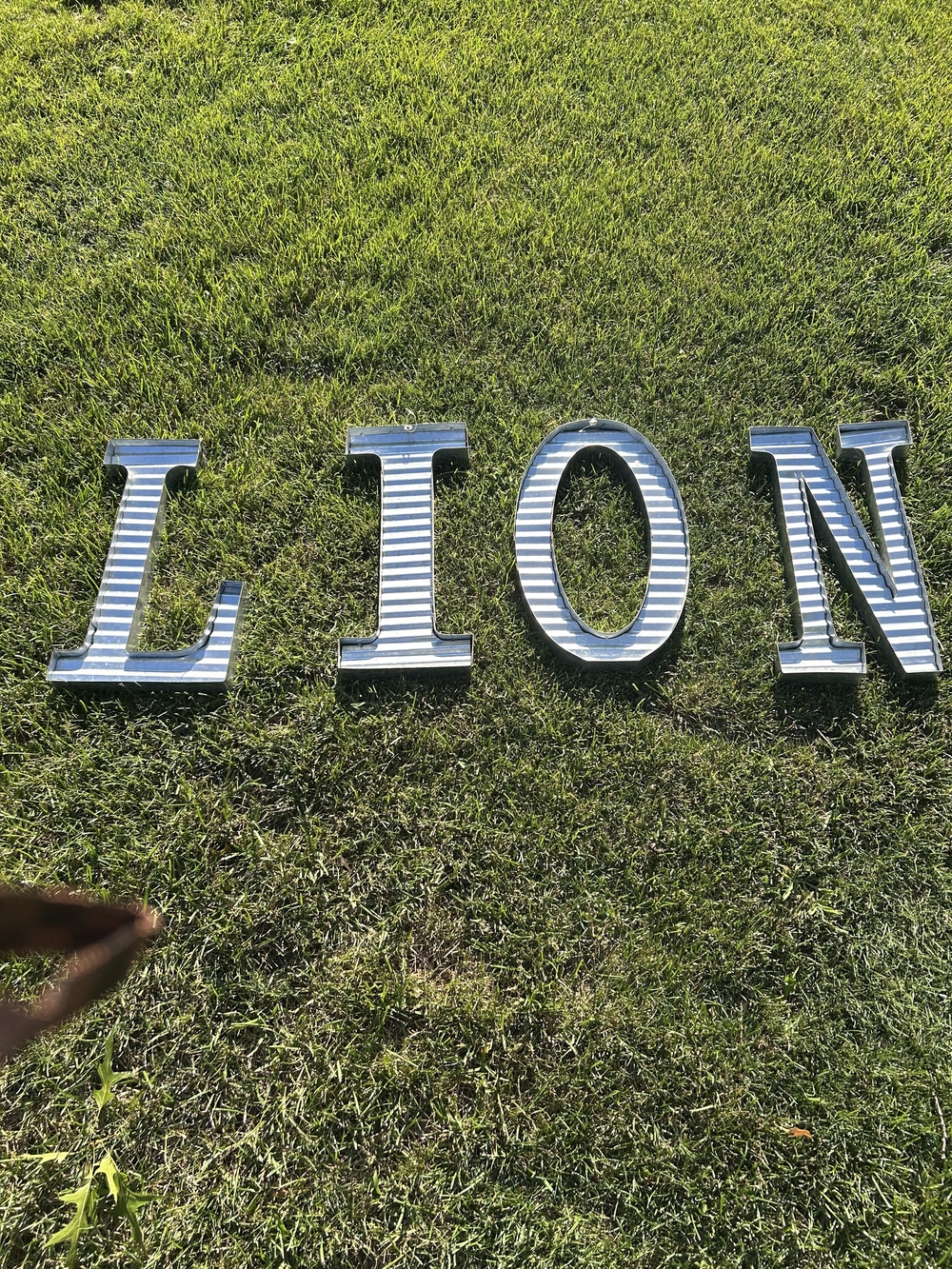 Corrugated Metal Letter Set "L I O N" - Large